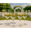 Copa de vino personalizada